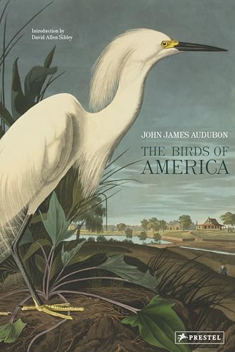Amazon.com: Bird: 9780811870986: Zuckerman, Andrew: Books