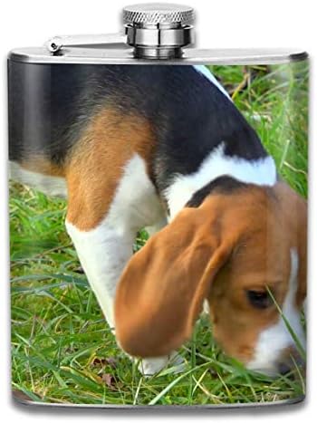 Young Beagle Sniffing Grass Tracking Close Up Fashion Portable Stainless Steel Hip Flask Whiskey Bottle for Men and Women 7 Oz