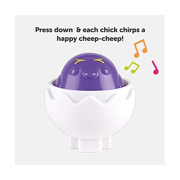 TOMY Toomies Hide and Squeak Eggs, Educational Shape Sorter Baby, Toddler and Kids Toy, Suitable For 6 Months and 1, 2…