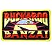 Buckaroo Banzai Movie Name Embroidered Logo PATCH