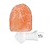 Home Decoration Mini Hand-carved Natural Crystal Salt lamps Himalayan Salt Night Light Lamp Wall Light Nursery Nightlight US Plug
