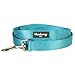Blueberry Pet Essentials Turquoise Dog Leash for Large - 4' * 1