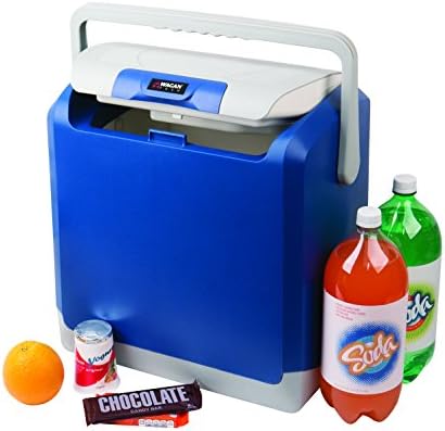 portable cooler warmer 12v