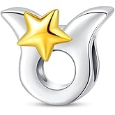 LONGLUCK 925 Sterling Silver 12 Astrological Signs Charm for Bracelets and Necklace Happy Birthday Charms for Bracelet and Necklace Valentine's Day Mother's Day Gift
