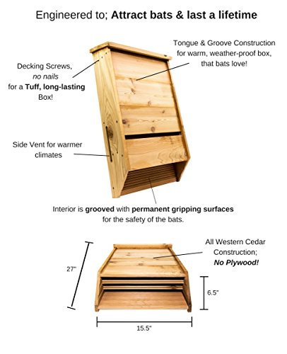 Big Bat Box BCI- Certified, Triple-Chamber, Nursery Bat House; Made in the USA