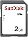 SanDisk 2GB SD Memory Card (SDSDB-2048, Bulk Package)