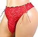 aishani Men's Silky Lace Thong Pouch Panties Briefs Bikini Underwear,5X-L Red