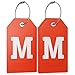 Shacke Initial Luggage Tag with Full Privacy Cover and Stainless Steel Loop – (Letter M)