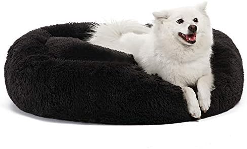 cute dog beds for medium dogs
