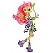 My Little Pony Equestria Girls Archery Fluttershy Doll