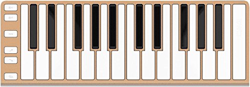 CME Xkey 25-Key MIDI Portable Mobile Musical Keyboard - Champagne