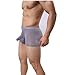 ALT 2017 Men 's Underwear Sexy Temptation Separation Ice Silk Translucent JJ Sets (Large, Grey)