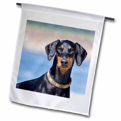3dRose Portrait of a Doberman Pinscher Dog - Zandria Muench Beraldo - Garden Fl…