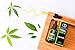 Organic Hemp Oil (2500 mg) – 100% Natural Hemp Extract | Soothing Hemp Oil Drops w/ Fresh Minty Taste | Relieve Pain, Anxiety, Insomnia Sleep Aid | Promote Weight Loss, Skin Regeneration, Hair Growth