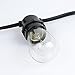 Novelty Lights 37.5 Feet Heavy Duty Light String with 25 in-Line E26 Sockets, Black Wire PVC Commercial Grade Stringer, 18