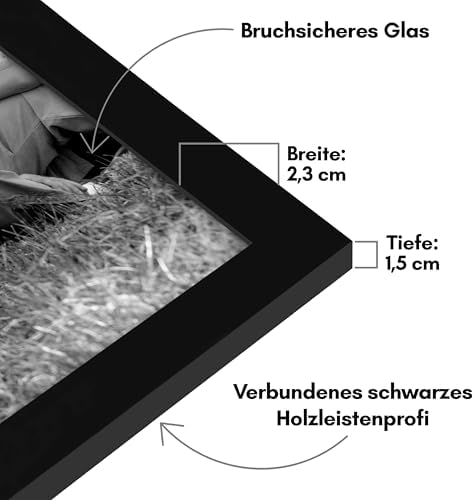 10-teiliges Collage Bilderrahmen Set verschiedene Größen Schwarz - Zwei 20x25, Vier 13x18 & Vier Bilderrahmen 10x15 - Fotorahmen für Mehrere Fotos mit Bruchsicherem Glas
