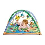 Tiny Love Gymini Melody Maker