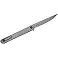 Spartan Blades Nemec Folder - Titanium | SFBL12TI, Gray