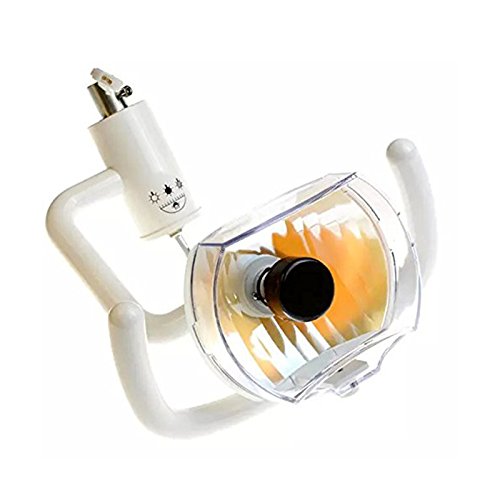 Science Lab Education Support Dental Halogen Lamps, Daylight Oral Lamps, Dental Equipment, Dental Chair Accessories, Dental Chair Oral Examination Lights 22mm