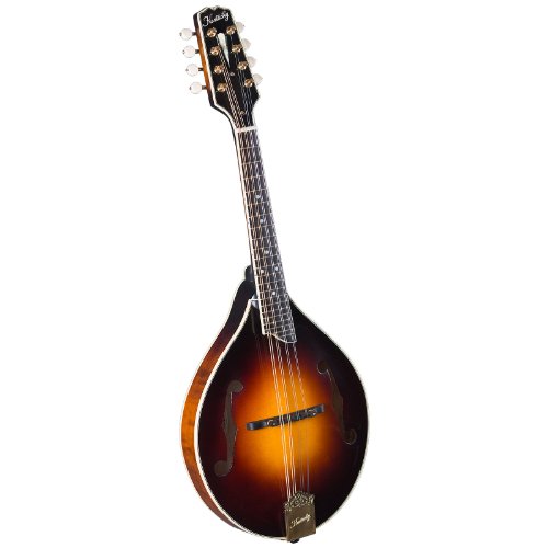 The 4 Best Beginner Mandolins Starter Mandolin Reviews 2018