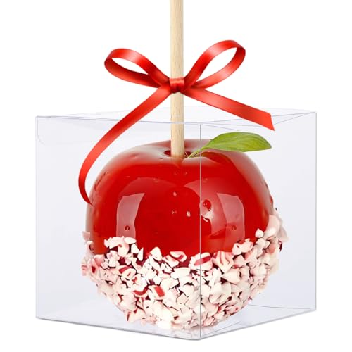 QKEL 30 Pack Clear Candy Apple Boxes with Hole, 4