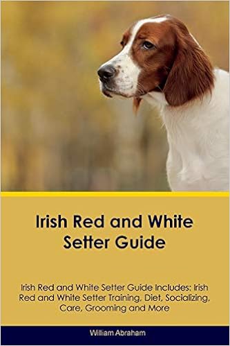 Irish Red And White Setter Guide Irish Red And White Setter Guide