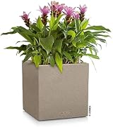 Lechuza Canto Stone 40 Low Sand Beige Plant Cube - Stylish & Functional view 2