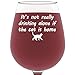 If The Cat Is Home Funny Wine Glass - Best Christmas Gifts For Pet Lover or Owner - Unique Gift For Men and Women Him or Her - Birthday Present Idea For Mom, Dad, Girlfriend, Boyfriend, Friend
