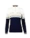 Dale of Norway Women's St. Moritz Feminine Sweater