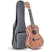 Ranch Left handed Concert Ukulele 23 inch Professional Wooden ukelele Instrument with Padded Ukele Gig Bag