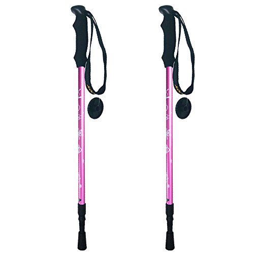 kids walking poles