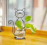 Joyathome Desktop Glass Planter Vase Holder, Metal