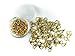 12x6mm 30g/100pcs Gold Plated Lobster Claw Clasps with 15 Gram Storage Box (Gold)