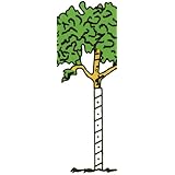 Walter E Clark 36-Inch Vinyl Tree Wrap 00436