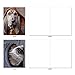 The Best Card Company - 10 Blank Dog Greeting Cards for All Occasions (4 x 5.12 Inch) - Dogs In Da Hood M3733OCB-B1x10-NB