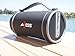 AXESS SPBT1033 Portable Bluetooth Indoor/Outdoor 2.1 Hi-Fi Cylinder Loud Speaker with Built-In 4