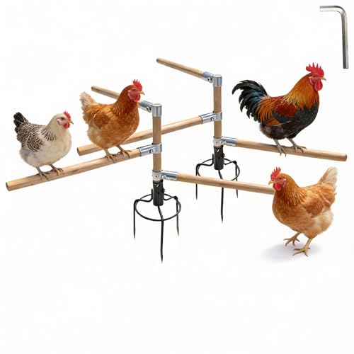 Paiaojia Chicken Perch Toys