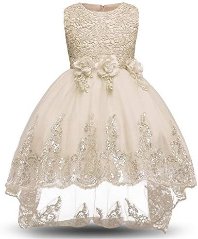 Girl Kids Teens Formal Princess Dress Train Flower Girls Dress Kids Girls Sleeveless Embroideried Lace Evening Party Wedding Dresses Shiny Sequin Little Girls Princess Pageant Dress High Low Gown Danc