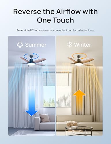 DREO Smart Ceiling Fans with Lights, Low Profile Ceiling Fan with Alexa/App, 52'' Dimmable Lighting & Color Tuning, RGB Ambient Light for Living Room, Game Room, Easy Installation, Quiet, Black