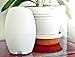 Essential Oil Diffuser Humidifier LiteMist Ultrasonic Aromatherapy by ZAQ with Ionizer Oil LED Light Lamp - 300 ML Capacity