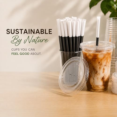 12oz 100 PCs Disposable Plastic iced coffee cups with lids and straws. Clear Disposable Plastic cups for Cold drink, iced coffee, Milkshakes, Smoothies, Juices. Eco friendly BPA free.