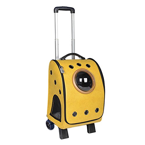 Top 10 Best Cat Carriers On Wheels Best of 2018 Reviews No Place