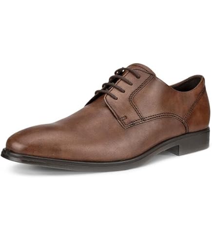 Amazon.com | ECCO Men's Lisbon Plain Toe Tie Oxford, Black 39 EU/5