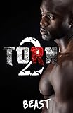 Torn 2