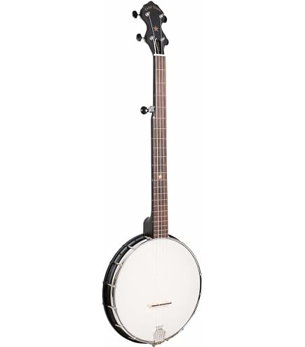 Amazon.com: Gold Tone AC-4IT Composite Irish Tenor Banjo : Musical