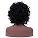 Mersi Wigs for Black Women Aferican American Wigs Short Curly Wigs Afro Kinkys Wig Synthetic Hair Wigs with Wig Cap S005