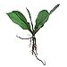 1 Branch Faux Butterfly Orchid Leaf Simulation Grass Home Decoration Green