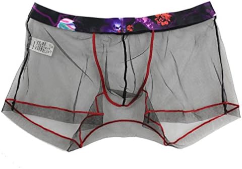 kaifongfu Apparel Men Underwear,kaifongfu Mesh Transparent Underpants for Men Boxer Briefs Pouch Soft Underpants (XL, Black)