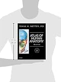 Image de Atlas of Human Anatomy, Professional Edition: including NetterReference.com Access with Full Downloadable Image Bank, 6e (Netter Basic Science)