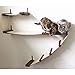 Catastrophic Creations Play Cat Condo— Cat Tree Wall Mounted—Cat Wall Bridge — Lounge and Play Furniture — Cat Wall Furniture Set— Cat Climbing Shelves—Wall Mounted Cat Furniture